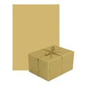 Papier do pakowania NEUTRAL SILVER/GOLD MIX 70x200 cm