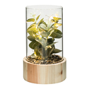 Roślina LED w szklanej doniczce 24 cm 