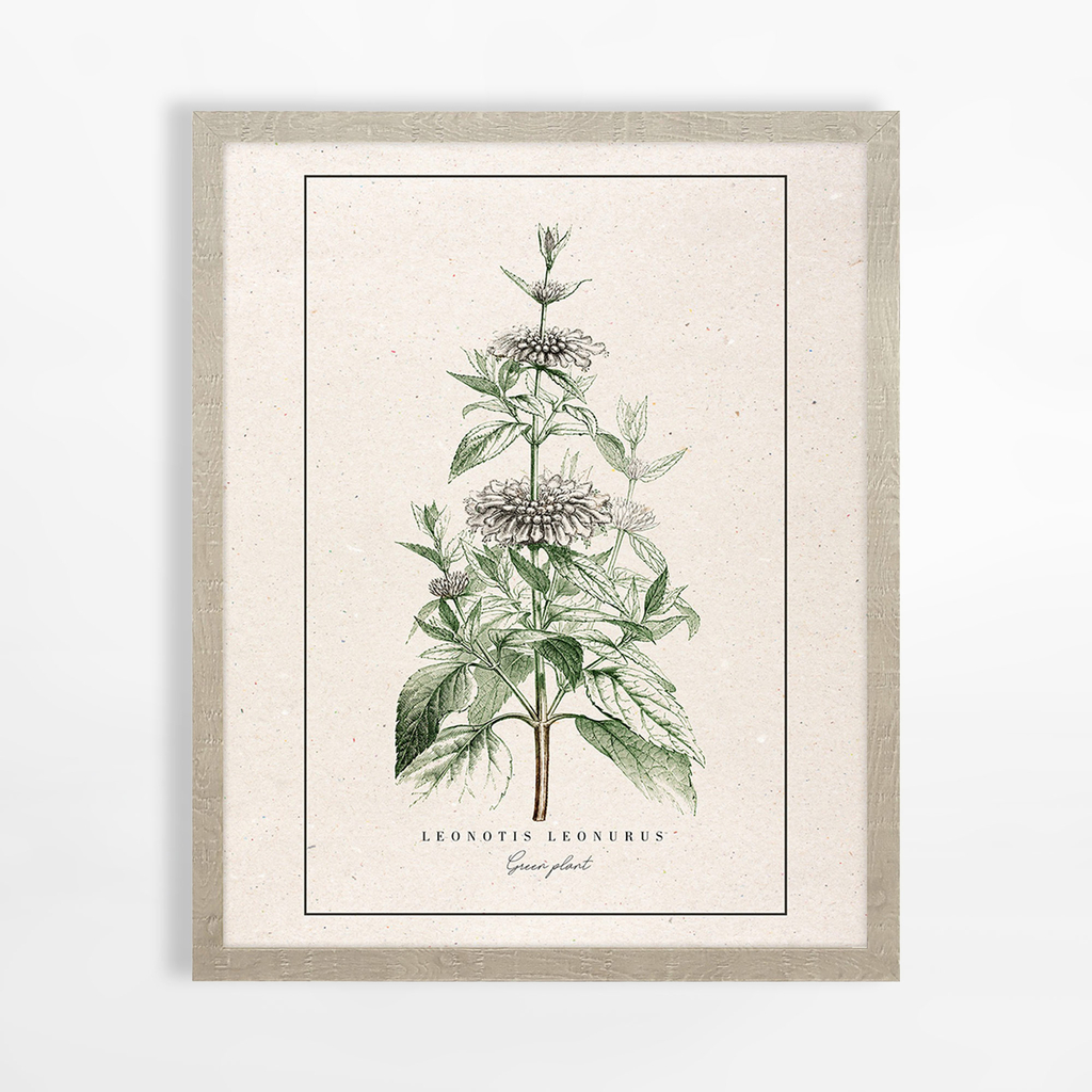 Obraz do sypialni BOTANIC PLANT I 40x50 cm