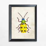 Obraz żółty owad BEETLE 21x30 cm