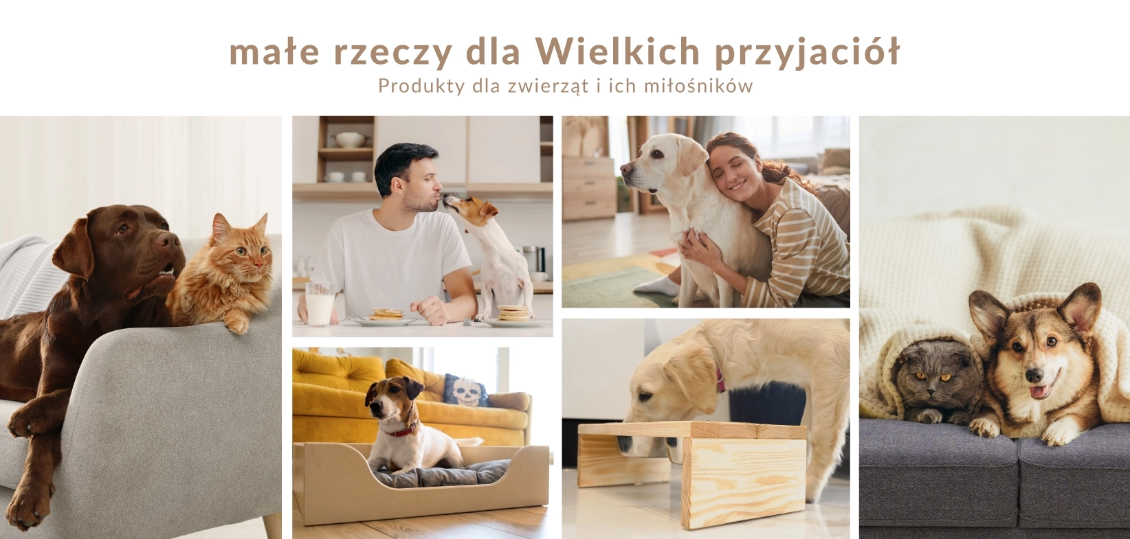 Małe rzeczy dla wielkich przyjaciół