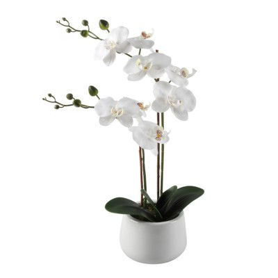 

Salony Agata Kwiat sztuczny w doniczce ORCHIDEA 50 cm