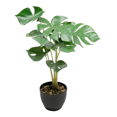 

Salony Agata Kwiat sztuczny w doniczce MONSTERA 40 cm