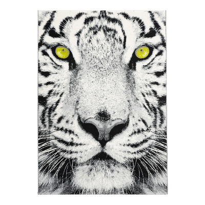 

Salony Agata Dywan tygrys TIGER 160x225 cm