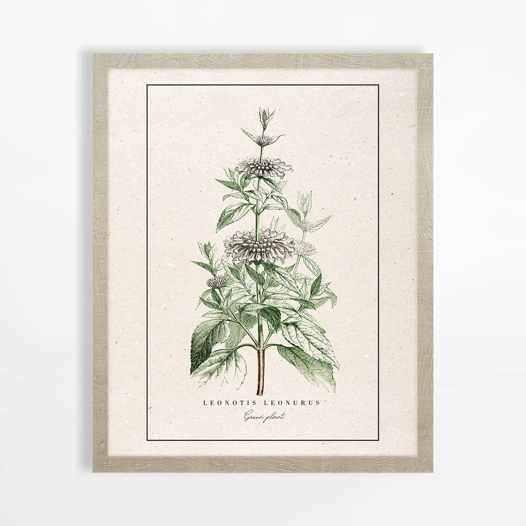 Obraz do sypialni BOTANIC PLANT I 40x50 cm