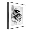 Obraz MONSTERA ARTBOX DIGI 50x70 cm