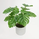 Sztuczny kwiat w doniczce MINI MONSTERA I 25 cm