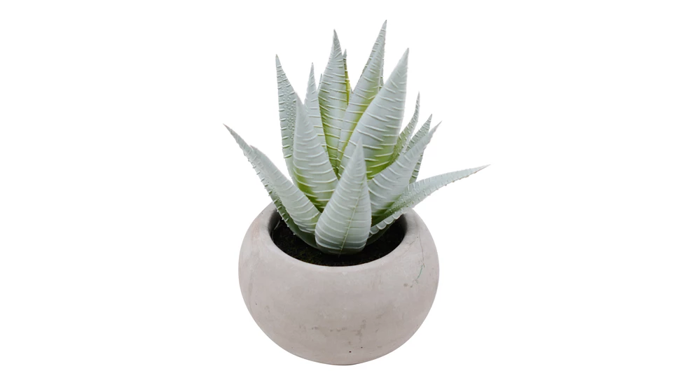 Sztuczny kwiat ALOES w doniczce z cementu 15,2 cm