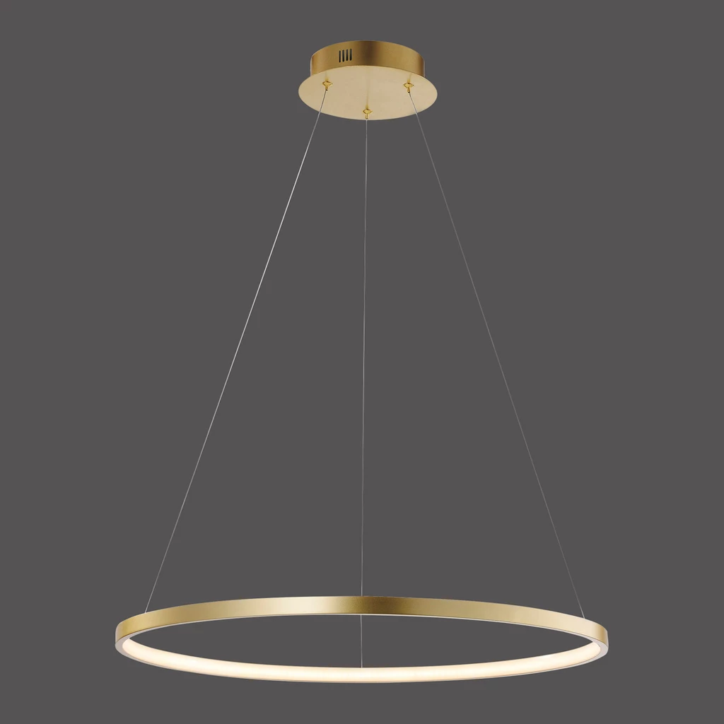 Lampa wisząca CIRCLE LED 11524-12