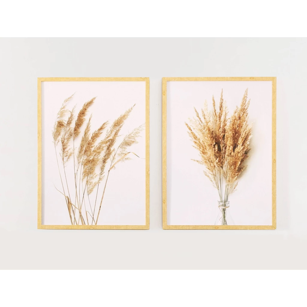 Obraz PAMPAS GRASS II 53x73 cm