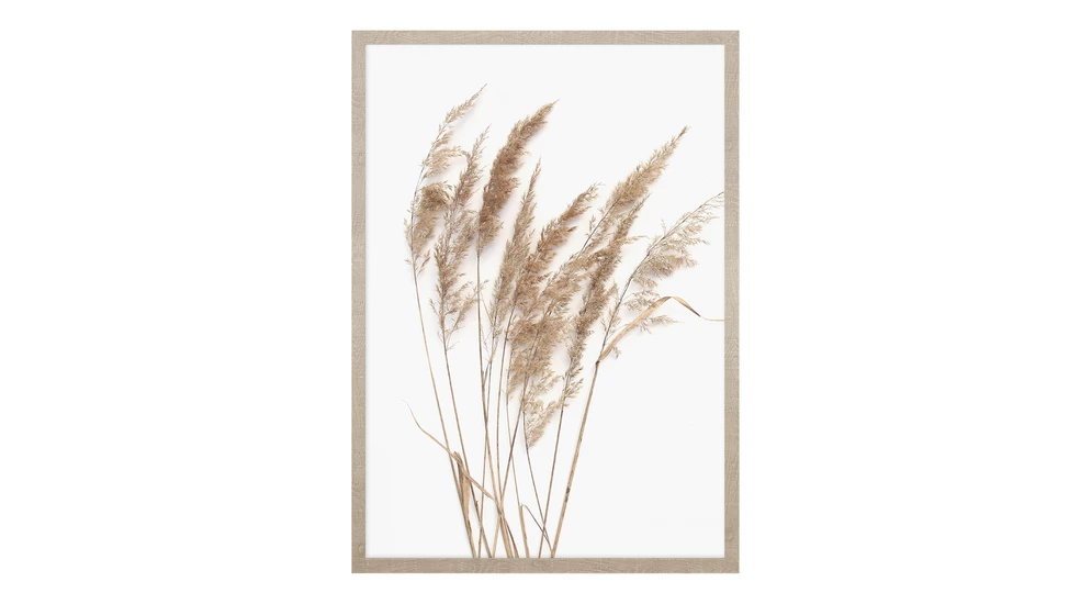 Obraz PAMPAS GRASS I 53x73 cm