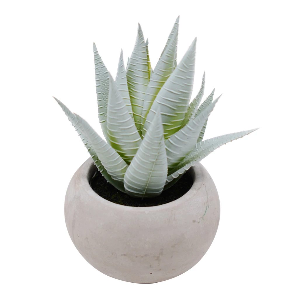 Sztuczny kwiat ALOES w doniczce z cementu 15,2 cm