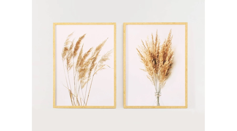 Obraz PAMPAS GRASS I 53x73 cm